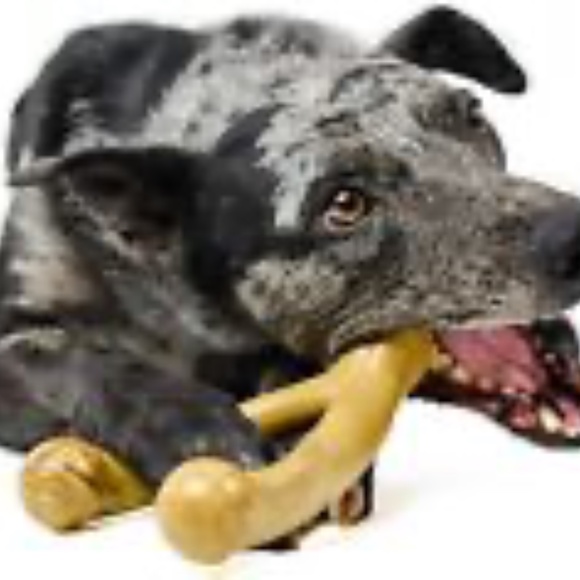 Wishbone BarkBone - Nylon Chew Toy for Aggressive Chewers - Peanut Butter - Picture 2 of 3